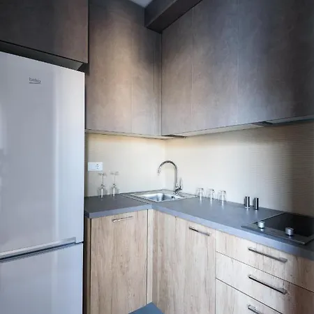 Belly 公寓 贝尔格莱德